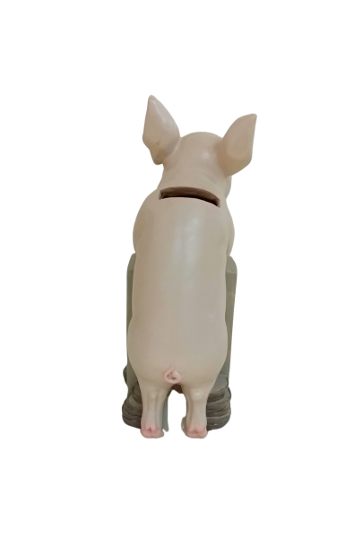 Gehlmann Sparschwein, inkl. Garantie Rechnung
